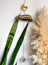 Load image into Gallery viewer, Sun Catcher No. 09